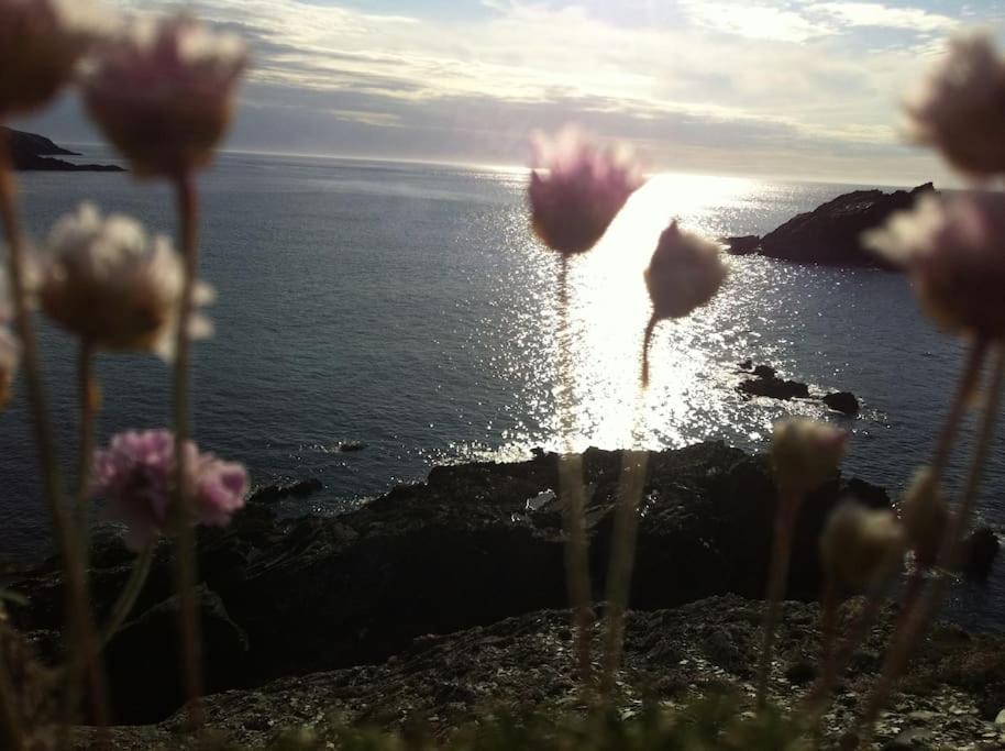 2Bed With Pool & Sea View Apartment Newquay (Cornwall)